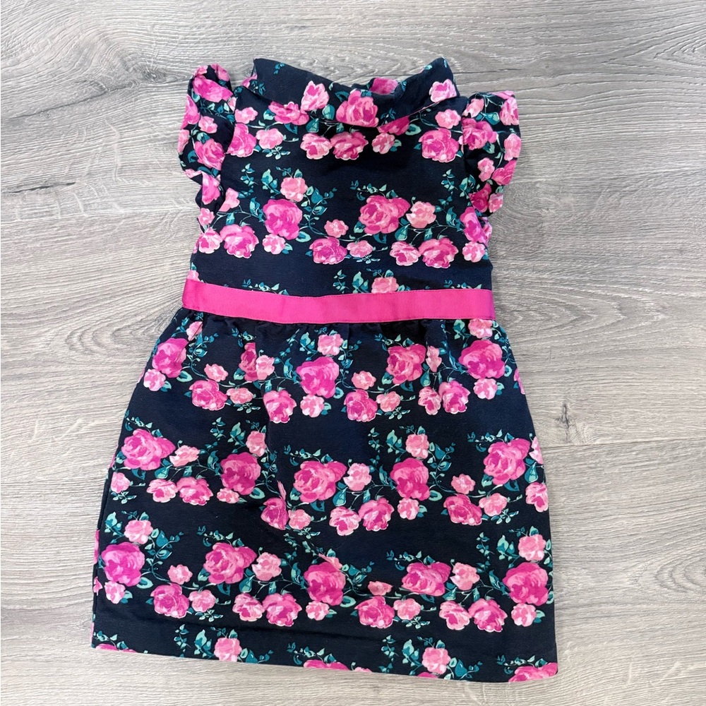 Janie and Jack Navy and Pink Floral Dress Kids size 4
